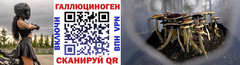 Псилоцибиновые грибы Magic Shrooms  Купить где  Краснодар 